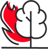 Small Outdoor Fire