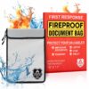 Cobra Fireproof Document Bag - 2 Pockets - Double the Protection